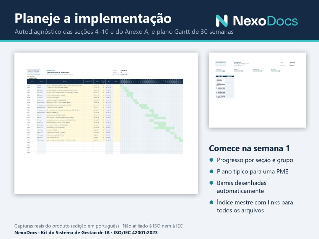 Autodiagnóstico e plano Gantt